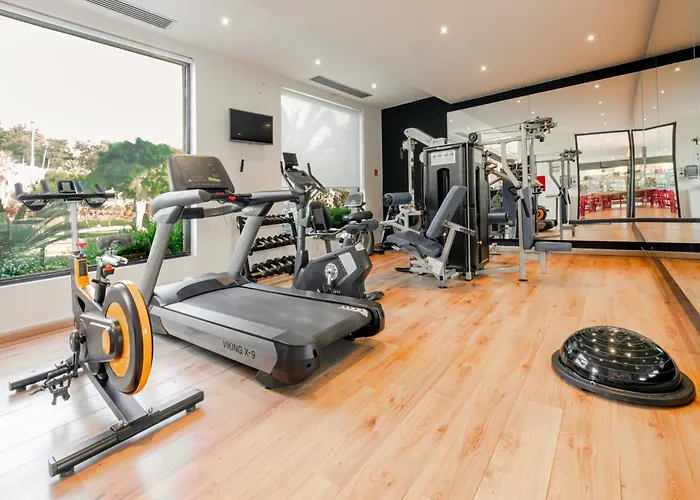 Calypso 4* Φαληράκι