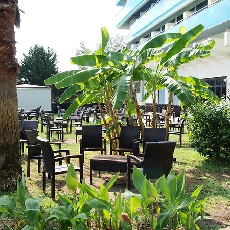 Allsun Calypso 4* Faliraki